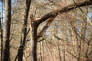 herbst primavera alemanha Deutschland