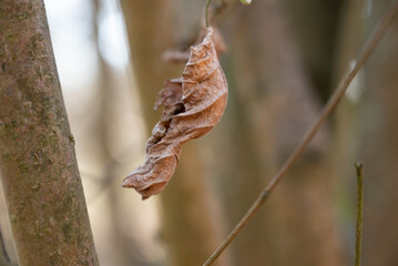 herbst primavera alemanha Deutschland