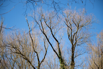 herbst primavera alemanha Deutschland