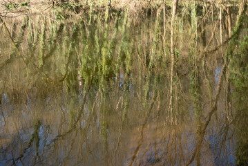 herbst primavera alemanha Deutschland