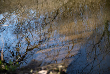 herbst primavera alemanha Deutschland