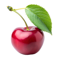 cherry with leaf 