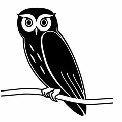 owl on a branch