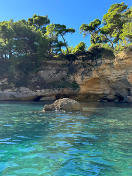 A beautiful sea bay surrounded by cliffs covered with pine trees.