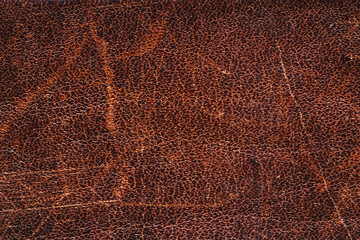closeup of waxed leather with patina