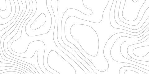 Topography background. Vector banner. Topography map background. Vector geographic contour map. Background of the topographic map. Topographic map lines, contour background. 