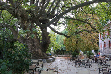 Tsagkarada - small village in Pelion peninsula