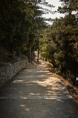 Beautiful pedestrian pathway, used also for cyclists, in the dense, evergreen forest of Cres island, Croatia, above Adriatic sea
