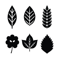 Vector set of decorative leaves and floral elements