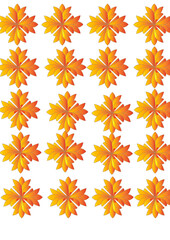 Many types of Flowers