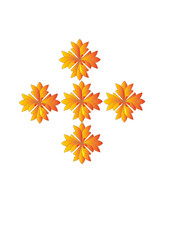 Many types of Flowers