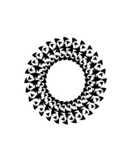 Many types of Flowers