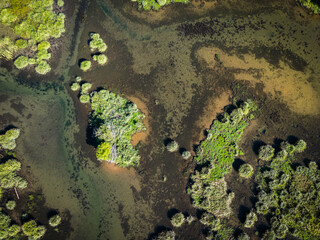 Top down aerial view of wild Bajer lake tributary and green vegetation patches growing in the stream near small town of Fuzine, Croatia