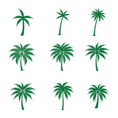 Naklejka premium palm trees vector