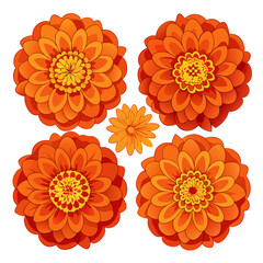 Radiant Zinnia Collection: An artful display of vibrant zinnia flowers showcasing a spectrum of orange hues, offering a touch of natural elegance and artistic flair.