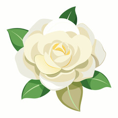 You've reached our limit of messages per hour Please try again later