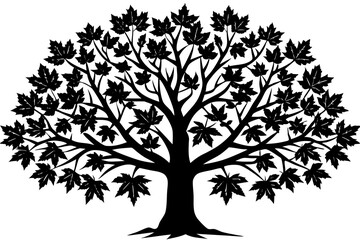 Obraz premium Silhouette of a Majestic Tree: A striking silhouette of a large tree, its dense canopy of leaves elegantly spread, creating a stunning display of nature's architecture.