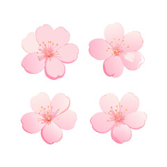 Pink Cherry Blossoms Illustration Vector Design