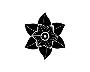 creative details daffodil icon Vector Illustration