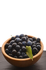 Schwarzdorn,  Schlehe,  Prunus spinosa