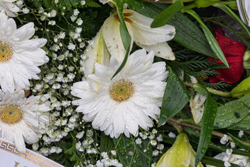 White gerbera daisies and lilies with water droplets forming a beautiful floral arrangement