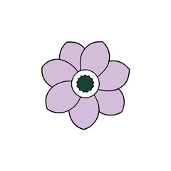 anemoneflower on a white background.