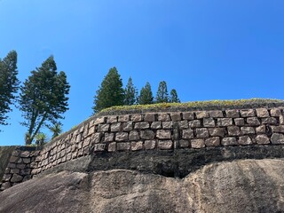 Stone wall and green hedge over a gray boulder, against coniferous trees and a clear blue sky. View from below. Joaquina beach, Florianopolis, Santa Catarina, Brazil