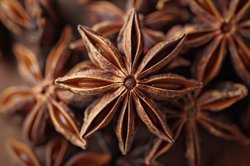 Sweet and spicy aromatic star anise
