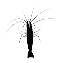 Shrimp silhouette, Prawn cut-out vector icon, logo black and white