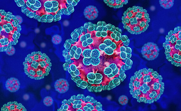 Hantavirus Virus outbreak as a is a zoonotic RNA virus transmitted by infected rodents causing severe respiratory and hemorrhagic diseases in humans as pneumonia as a dangerous viral pathogen.