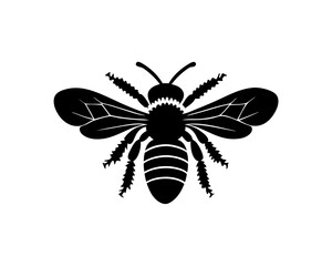 creative details bee icon vector Illustration