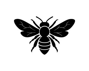 creative details bee and flower icon vector Illustration