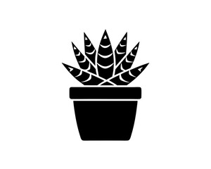 creative details potted succulent icon vector Illustration