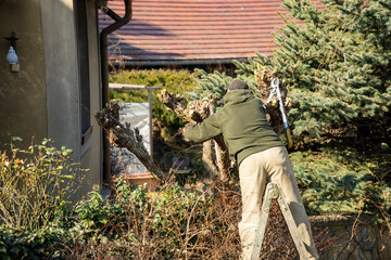 Garden Pruning Works to Maintain the Appearance of Shrubs,Bushes,Garden Scissors