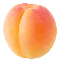 Isolated apricot, no background