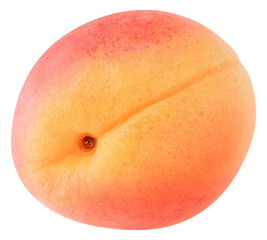 Apricot fruit cut out, no background