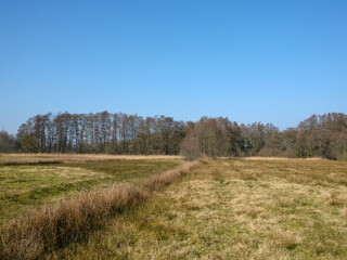 Fototapeta premium Nationaal Park Drentsche Aa, Tynaarlo, Drenthe province, The Netherlands