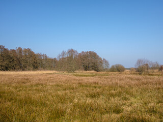 Obraz premium Nationaal Park Drentsche Aa, Tynaarlo, Drenthe province, The Netherlands