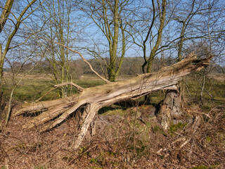 Nationaal Park Drentsche Aa, Tynaarlo, Drenthe province, The Netherlands