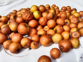 Ziziphus mauritiana fruit or fruit of Indian jujube or Chinese date