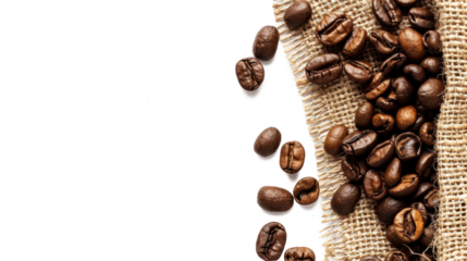 Roasted coffee beans on transparent background
