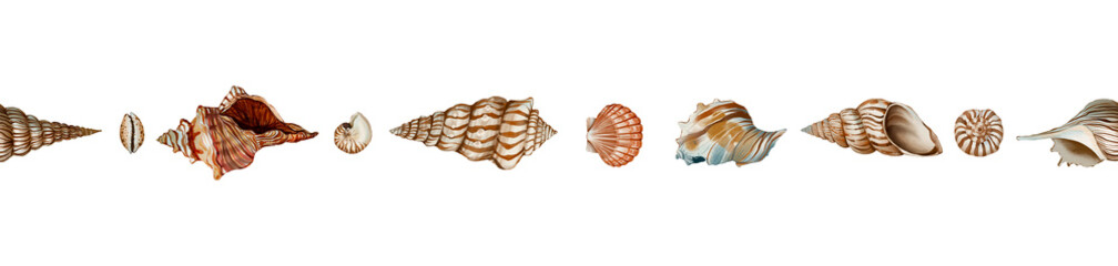 seashells Summer Beach Seamless pattern Hand drawn illustration on a transparent background