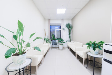 In a peaceful and serene waiting area, you will find comfortable sofas and vibrant, lush indoor plants surrounding