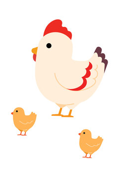 Cute cartoon chicken with two chicks, minimalist illustration on white background. Farm animals in simple flat design style. Mother hen with baby chickens, family concept for children's books and educ