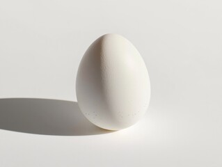 Single white easter egg casting a shadow on white background. Generative ai illustrations