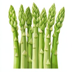 Fototapeta premium Simple cartoon flat illustration of fresh green asparagus healthy vegetable