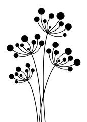 Silhouette of umbrella plants with thin stems and round floral clusters.