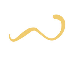 abstract fluid lines