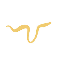 abstract fluid lines