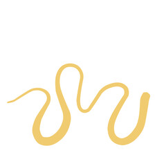 abstract fluid lines